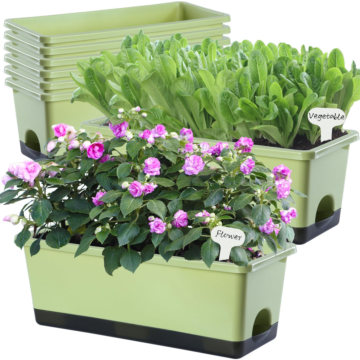 Oliz window box planter 8-pcs on windowsill for compact herb growing.