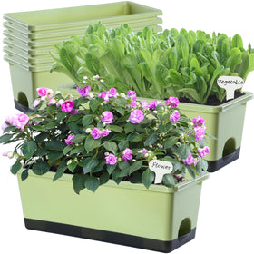 Oliz window box planter 8-pcs on windowsill for compact herb growing.