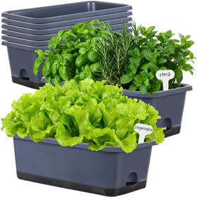Oliz window box planter 8-pcs set ready for versatile windowsill gardening