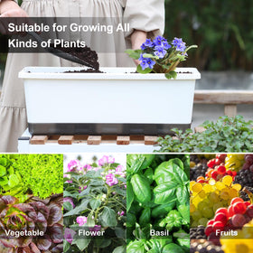 Oliz Window Box Planter 8pcs closeup water reservoir highlights 1L capacity for hydration