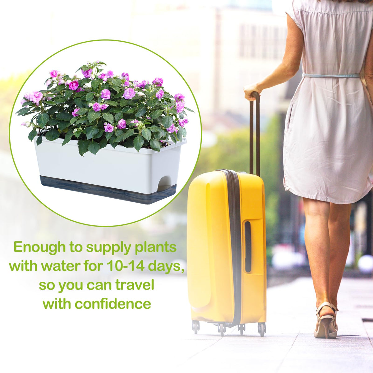 Oliz Window Box Planter 8pcs drainage-holes image emphasizes healthy roots and airflow