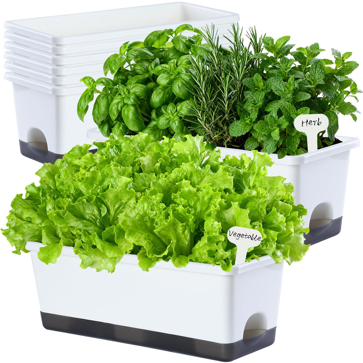 Oliz Window Box Planter 8pcs front view highlights compact elegance for windowsill herbs