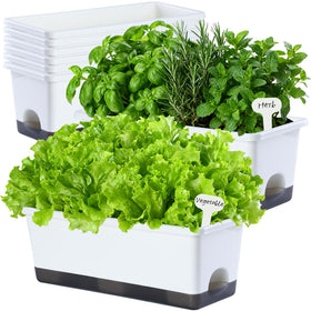 Oliz Window Box Planter 8pcs front view highlights compact elegance for windowsill herbs