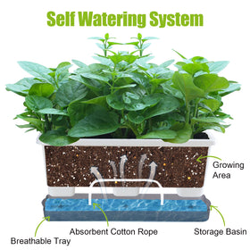 Oliz Window Box Planter 8pcs top view shows space for vibrant plant combos