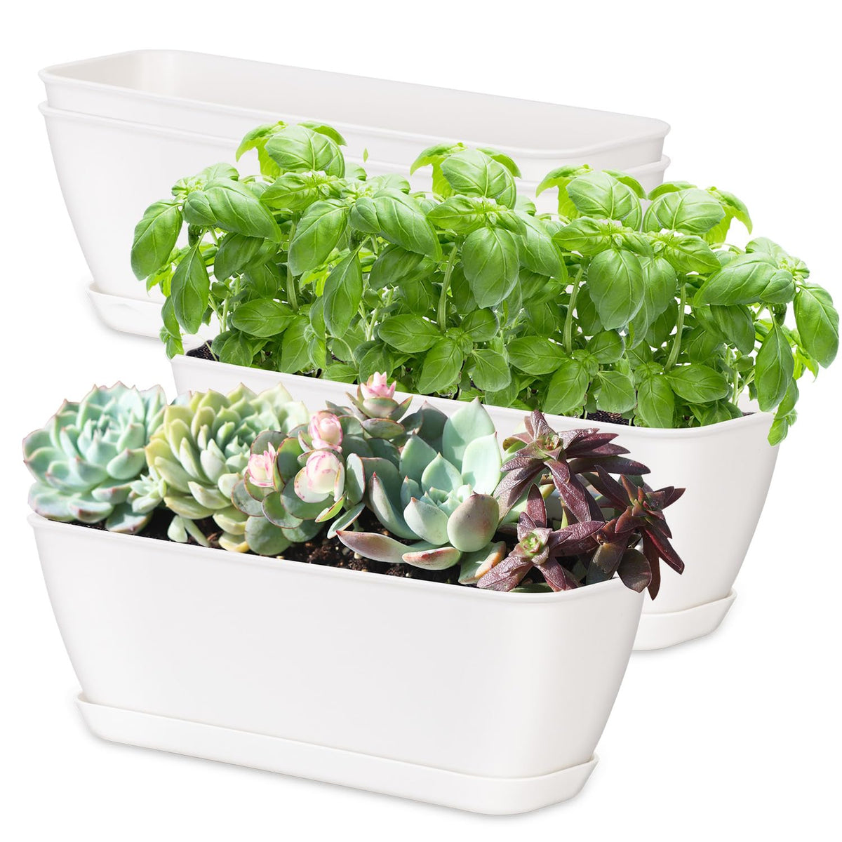 Oliz window sill planters setup shows four white rectangular containers for herbs.
