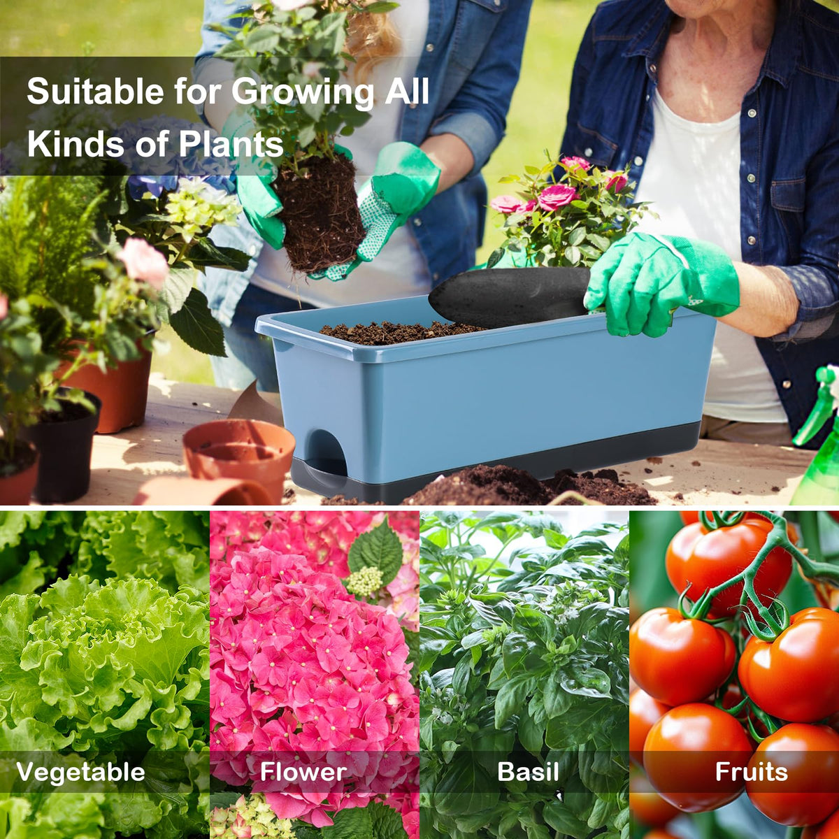 Oliz windowsill garden setup blue elevates home decor and plant growth.