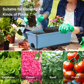 Oliz windowsill garden setup blue elevates home decor and plant growth.