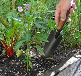 OLMSTED FORGE transplant tool aids gentle root disturbance and spacing.