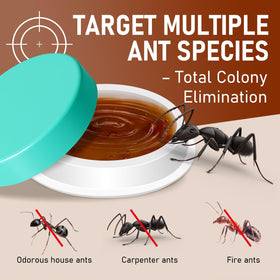 Olougda ant gel provides long lasting protection for 30+ days in sealed stations