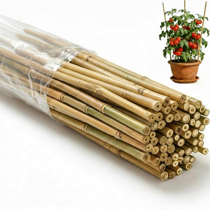 Oltara bamboo stakes ready for garden bed support