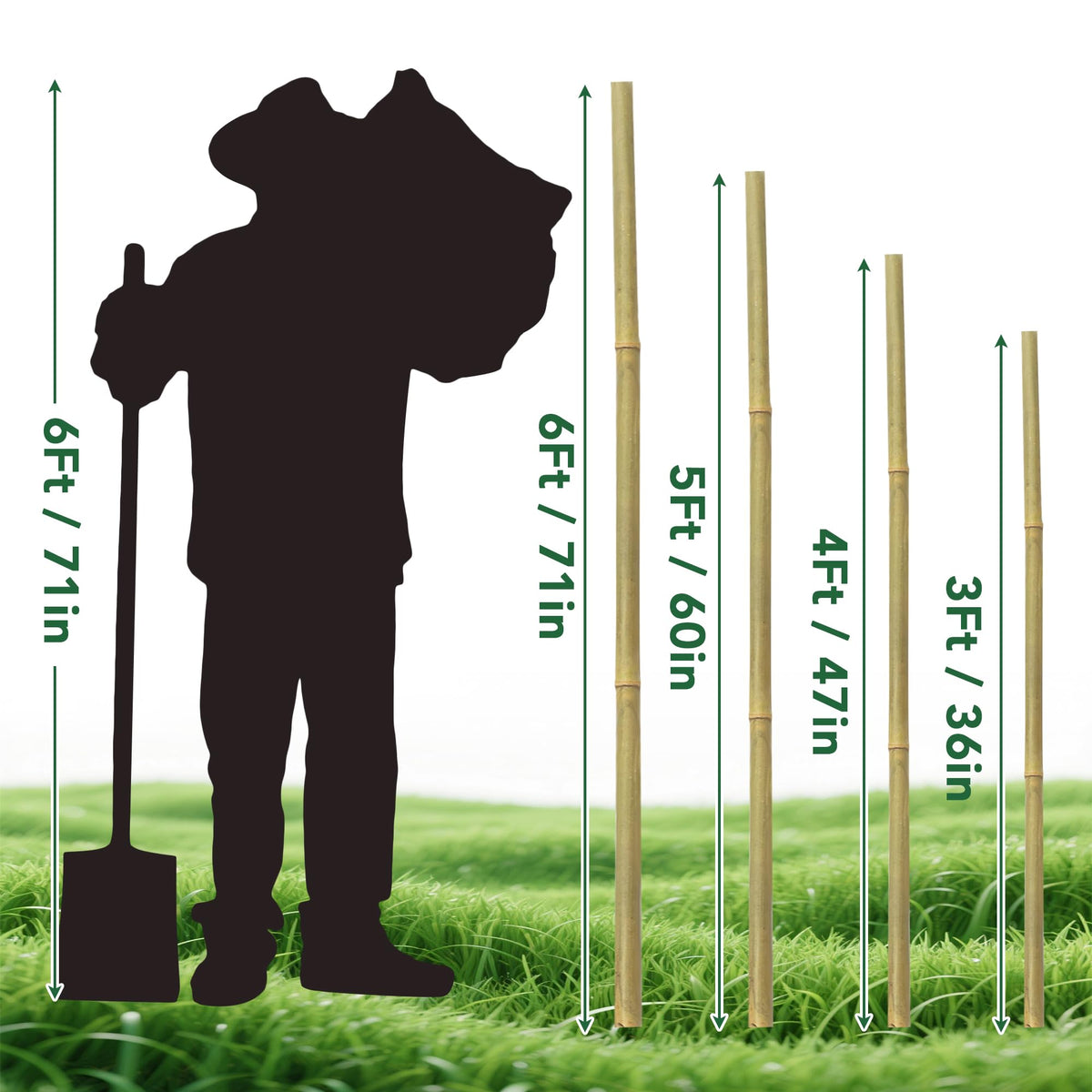 Oltara bamboo stakes for potted plants and balconies