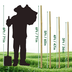 Oltara bamboo stakes for potted plants and balconies