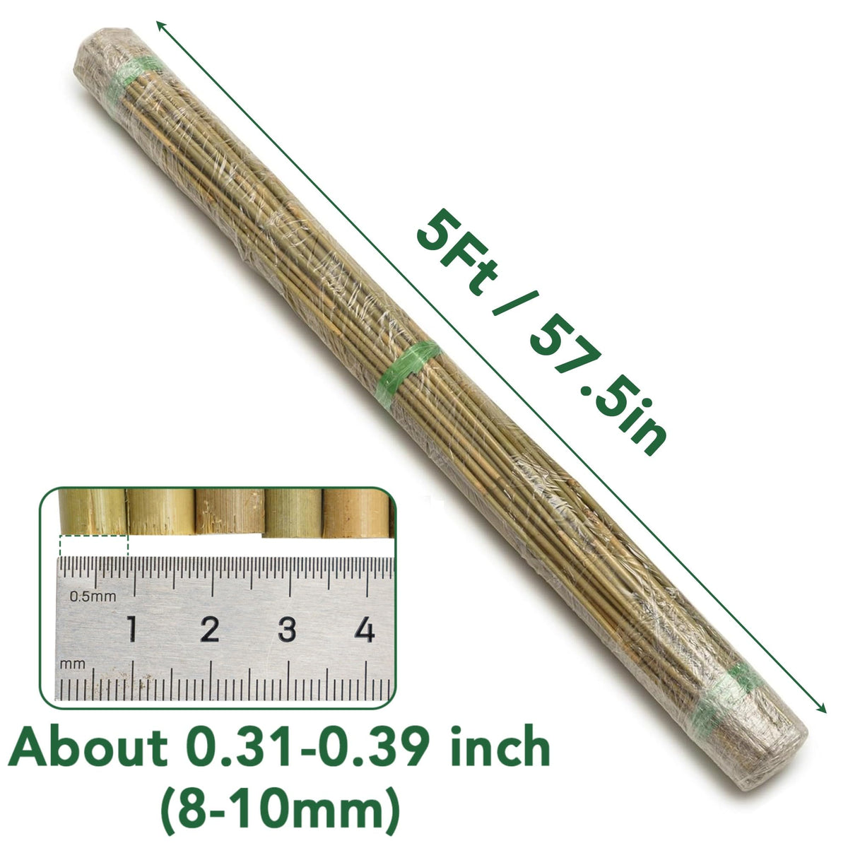 Oltara 5 ft stakes guide climbing tomatoes