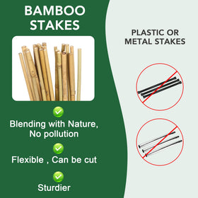 Oltara natural bamboo stakes support beans and vines