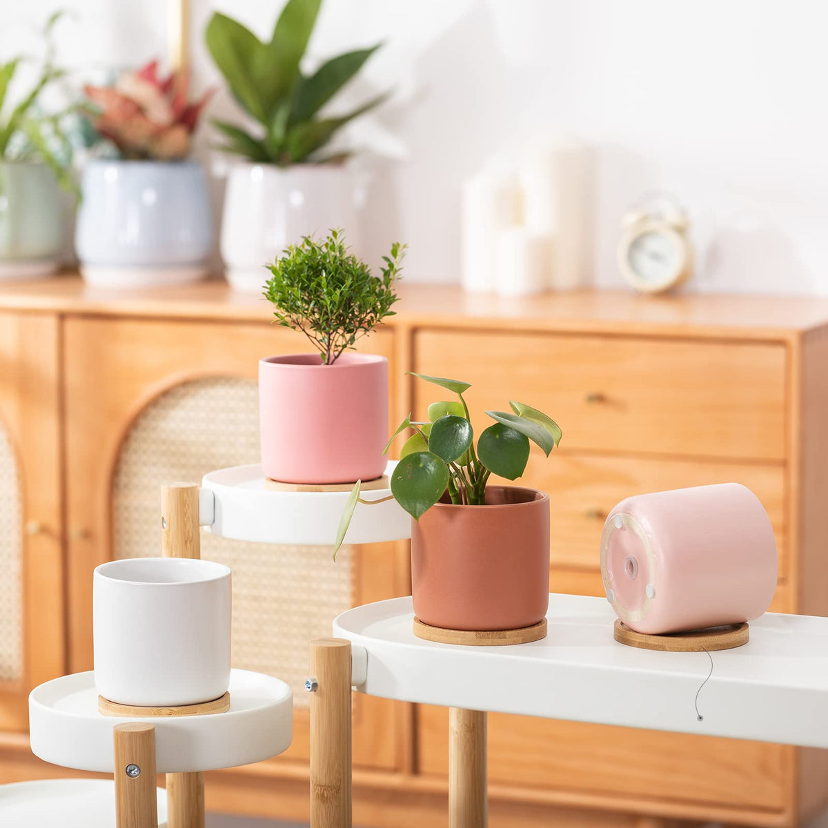 OMAYKEY multicolor ceramic pot with drainage hole supports healthy root breathability