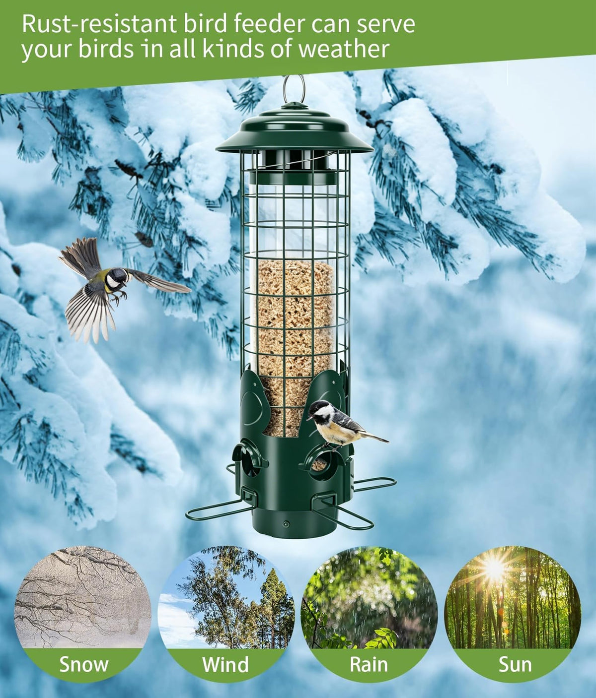 OMEUTY Squirrel Proof Feeder four-port feeding design for simultaneous feeding