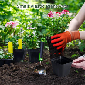 OMISTAR seedling propagation setup supports easy transplanting and root health