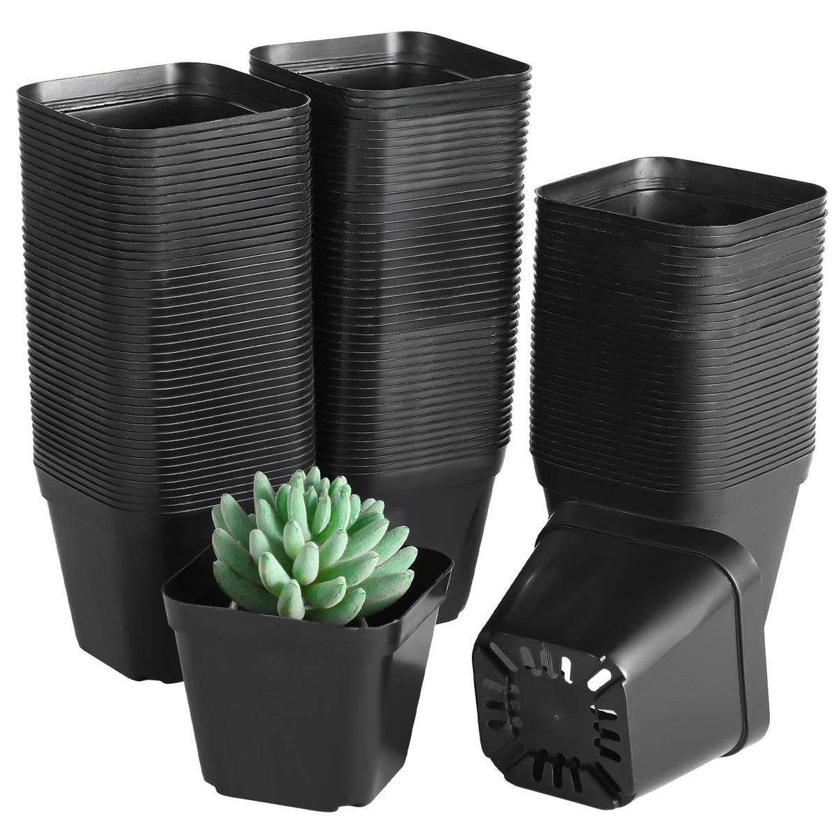OMISTAR reusable plastic square pots, durable for long term plant propagation