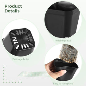 OMISTAR succulent propagation pots provide ideal space for baby plants