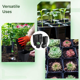 OMISTAR transplant-friendly pots simplify moving rooted cuttings to larger containers
