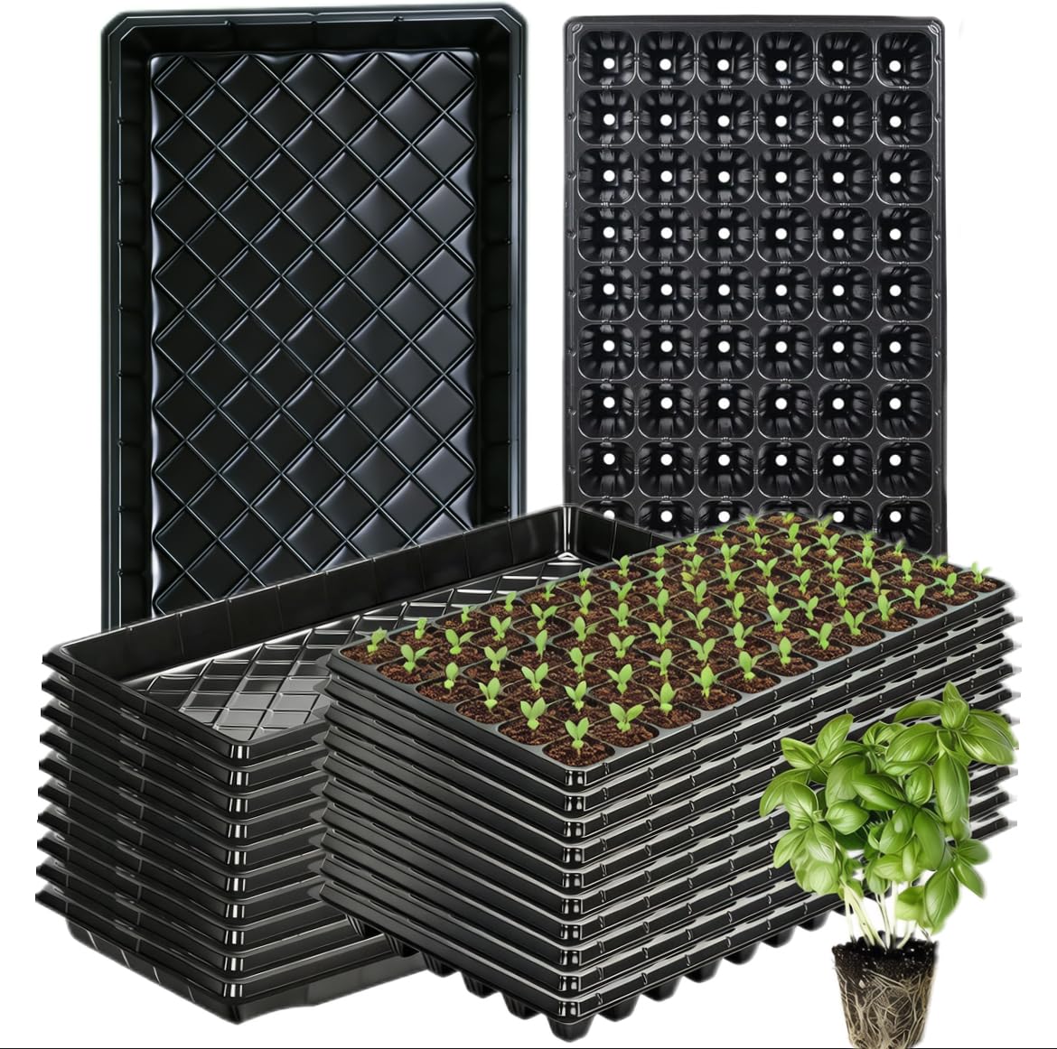 Omitgoter 72-cell seed tray with black finish for efficient germination.