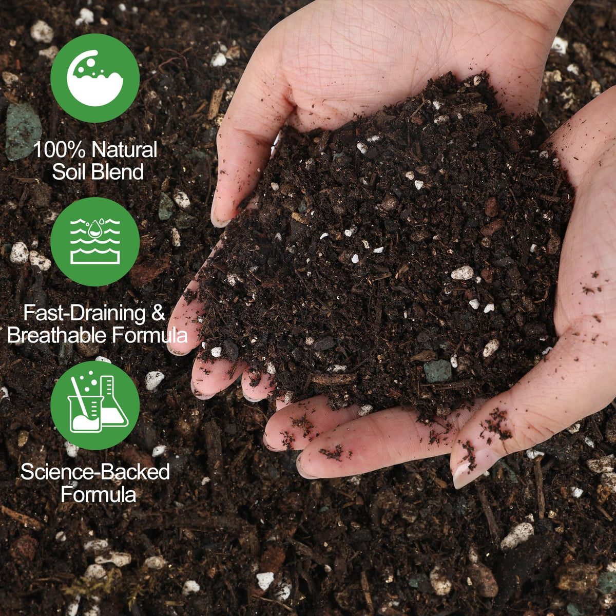 Omitgoter aerated cactus mix helps prevent root rot during watering.