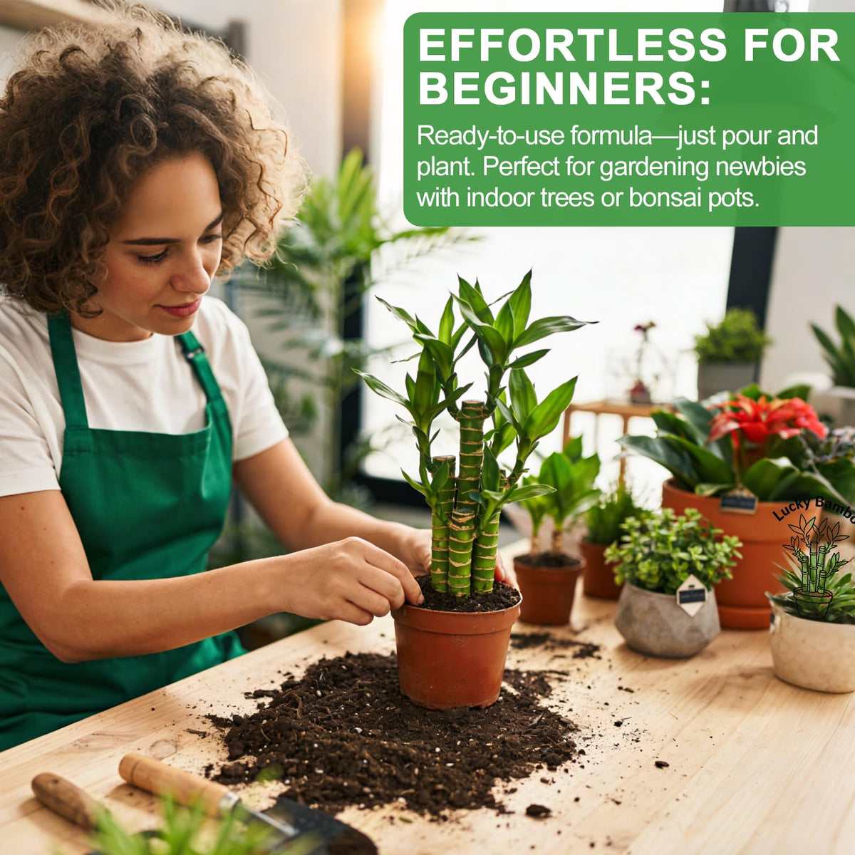 Omitgoter airy texture with perlite enhances root breathability.