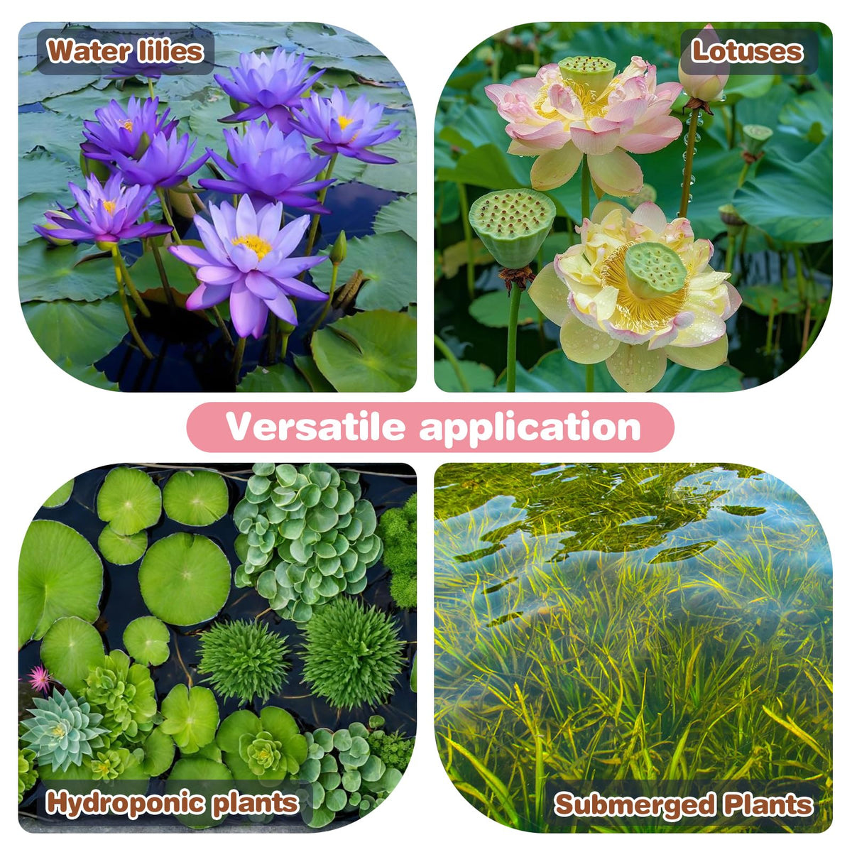Omitgoter Aquatic Soil aquarium substrate demonstrates reliable rooting for water plants.