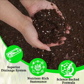 Omitgoter Blueberry Soil on a shelf demonstrates indoor-outdoor versatility for cultivation.
