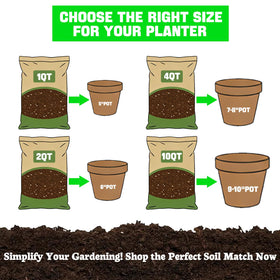 Omitgoter Blueberry Soil in use highlights easy setup for beginner gardeners.