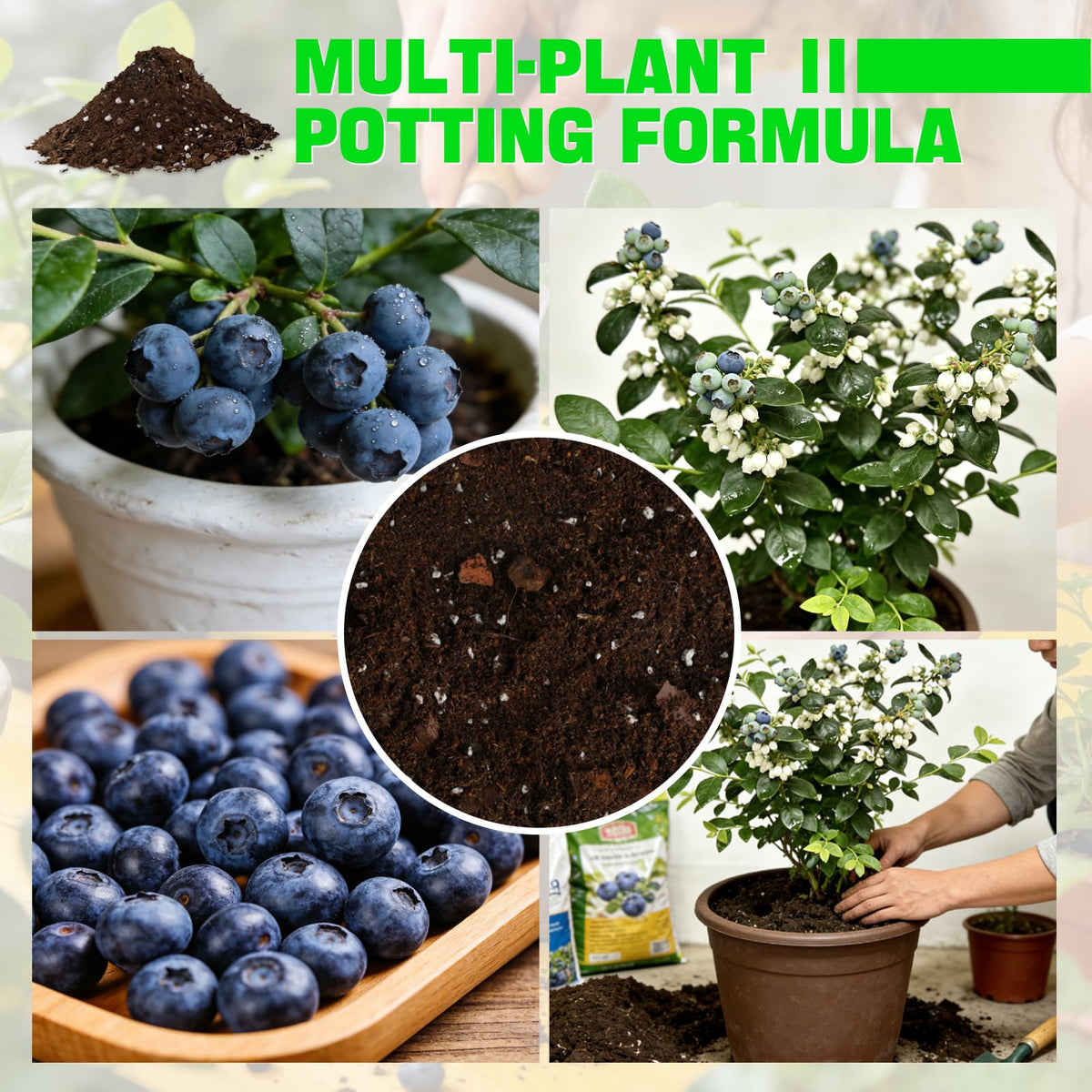Omitgoter Blueberry Soil nutrient-rich mix supports healthy growth from seedling to fruiting.