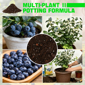 Omitgoter Blueberry Soil nutrient-rich mix supports healthy growth from seedling to fruiting.