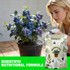 Omitgoter Blueberry Soil organic blend close-up emphasizes sustainable, additive-free gardening.