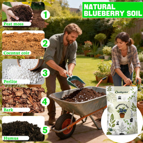 Omitgoter Blueberry Soil in a pot shows improved drainage and aeration for blueberries.