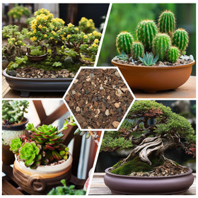 Omitgoter Nutrient-rich Bonsai Soil Mix provides essential minerals.