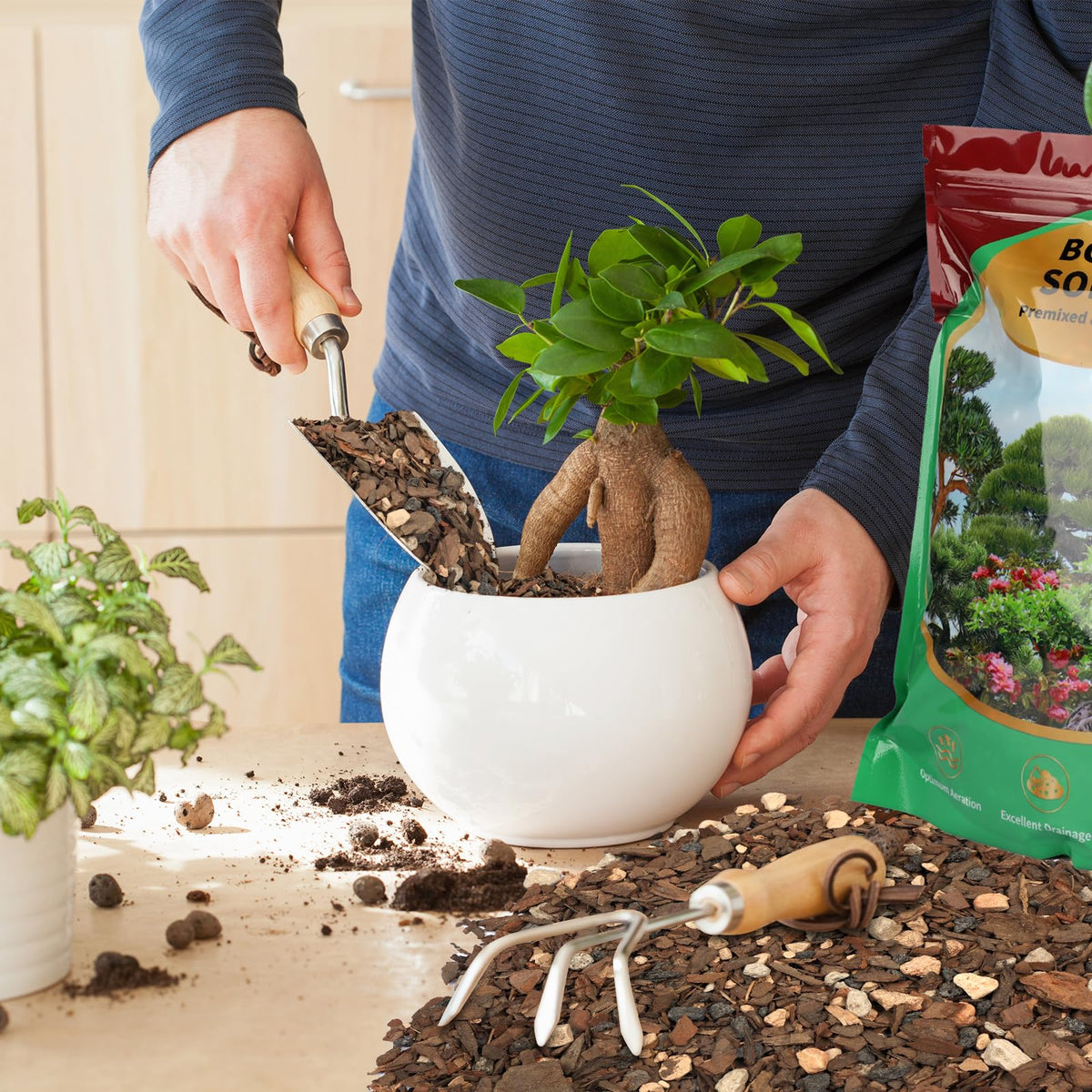 Omitgoter Versatile Bonsai Soil Mix suitable for junipers maples pines azaleas.