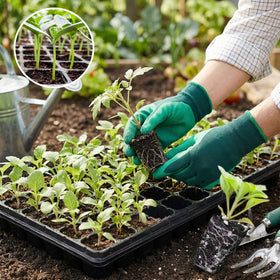 Omitgoter bulk seed tray pack for multiple plantings.