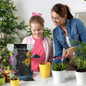 Omitgoter charcoal-odor-control soil shot highlights natural odor management for terrariums.