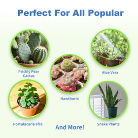 Omitgoter Christmas cactus care with balanced texture for steady growth.