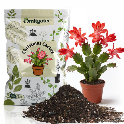 Omitgoter Christmas cactus soil supports ideal drainage for healthy root growth.