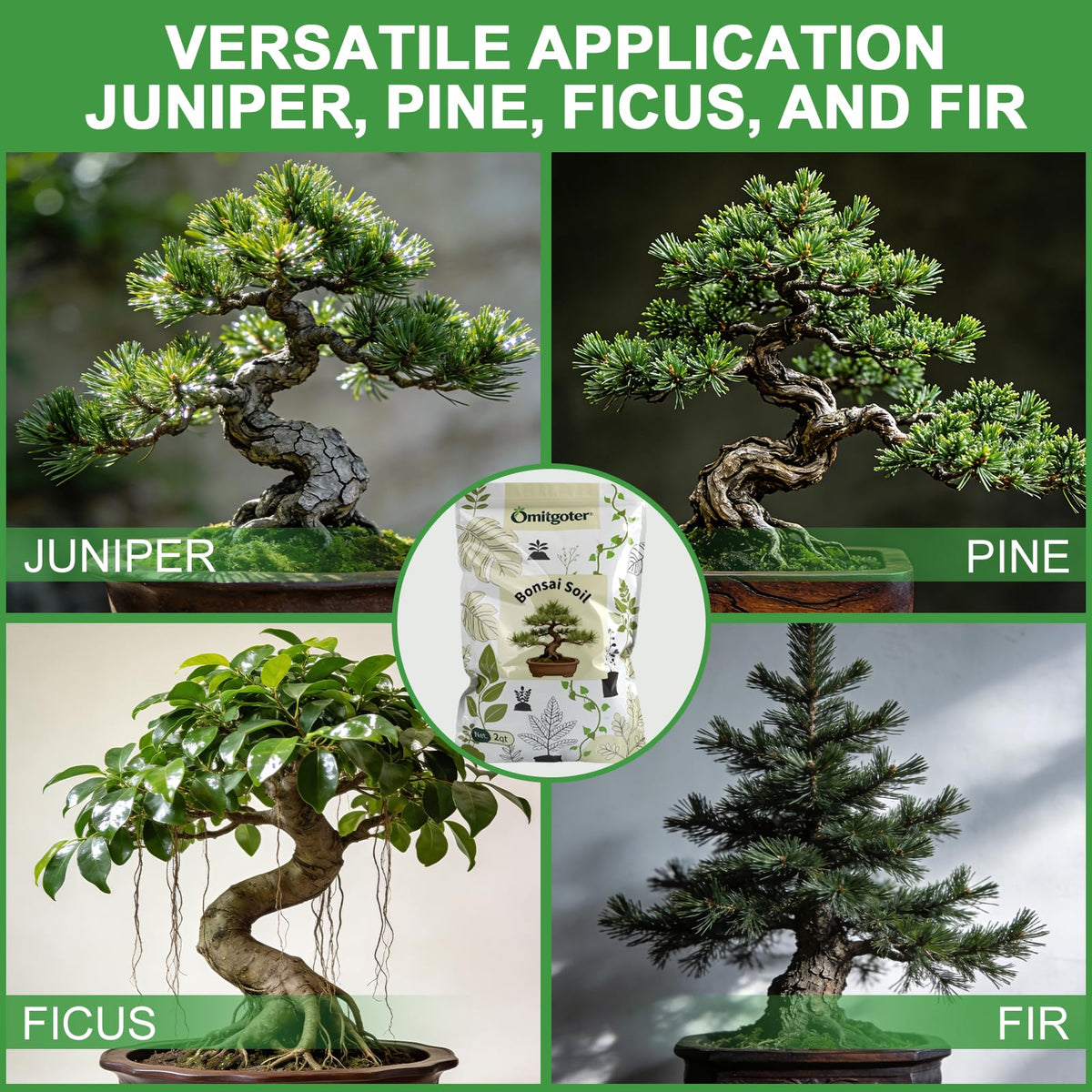 Omitgoter drainage-focused bonsai soil in pot for healthy aeration.