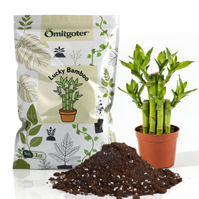 Omitgoter Lucky Bamboo soil bag close-up highlighting natural blend for healthy roots.
