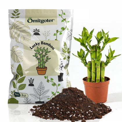 Omitgoter Lucky Bamboo soil bag close-up highlighting natural blend for healthy roots.