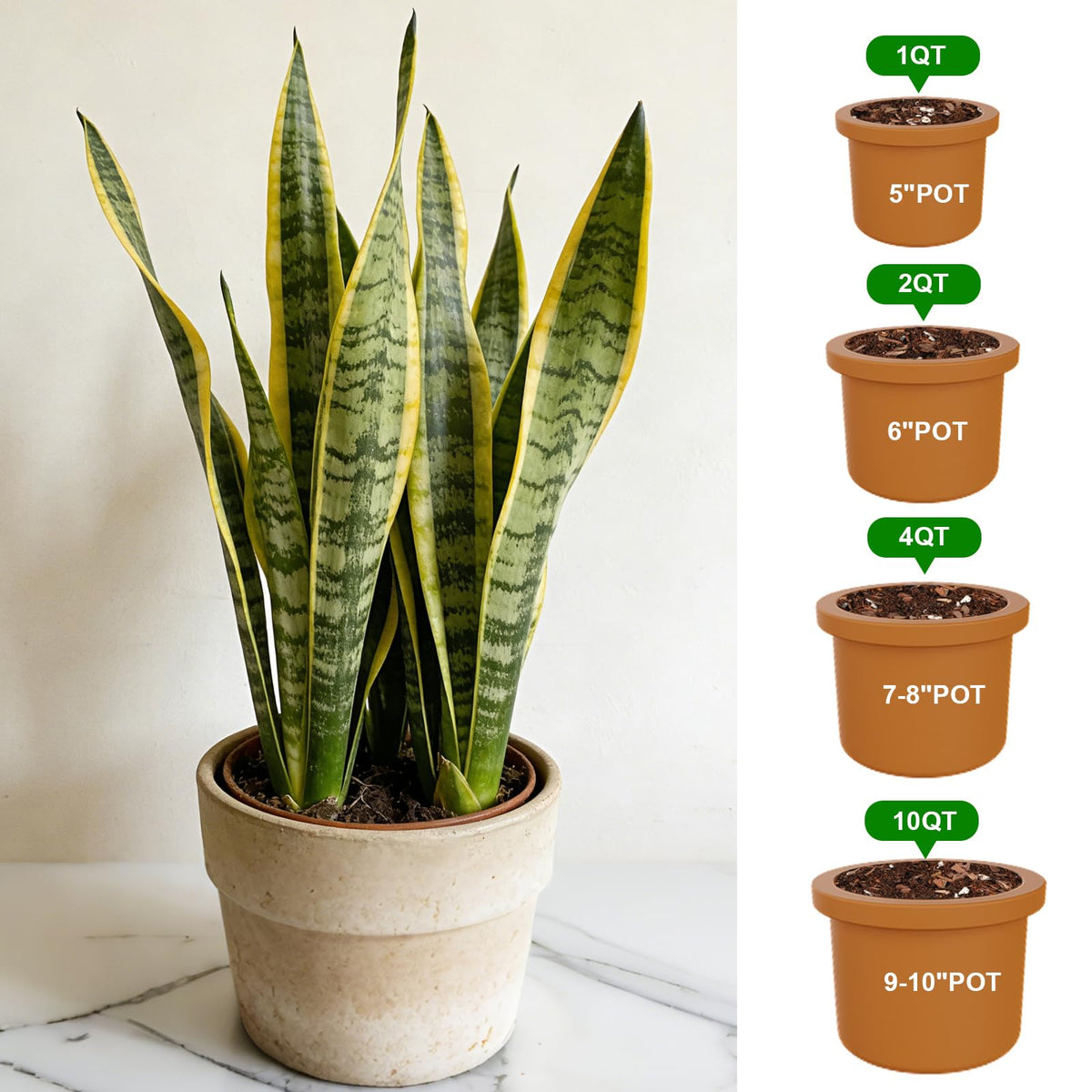 Omitgoter natural ingredients promote healthier soil and safer indoor gardening.