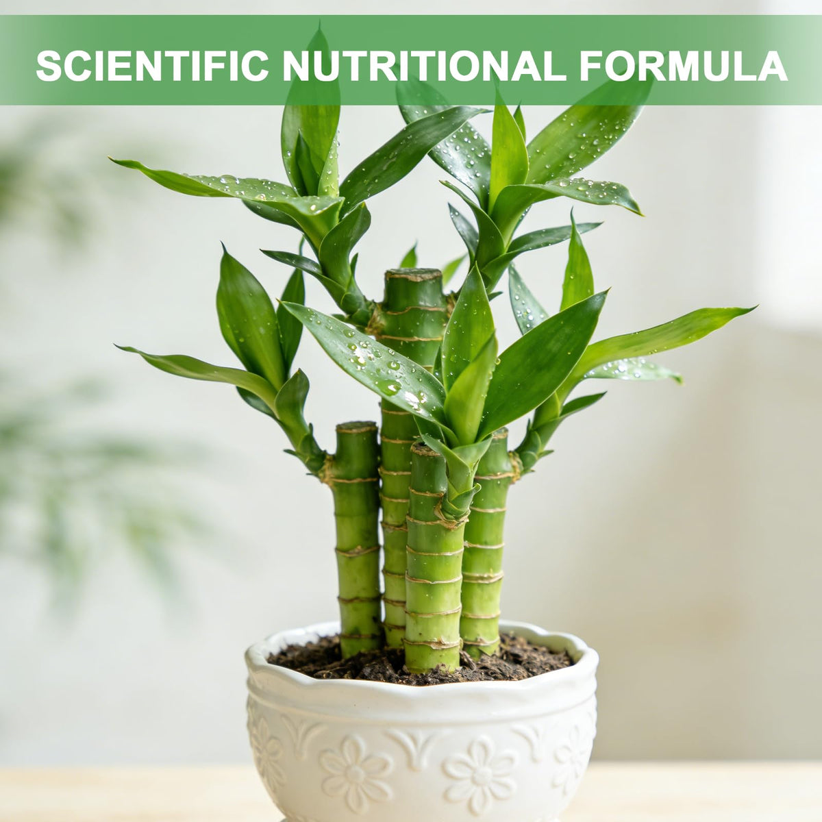 Omitgoter pH balanced soil maintains neutral conditions for better nutrient uptake.