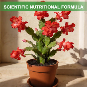 Omitgoter pH-balanced succulent mix mimics arid habitats for thriving plants.