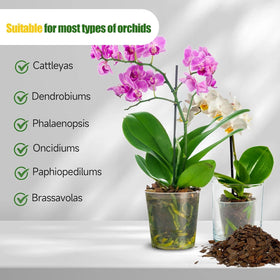 Omitgoter Phalaenopsis orchid mix in 1qt packaging for repotting readiness