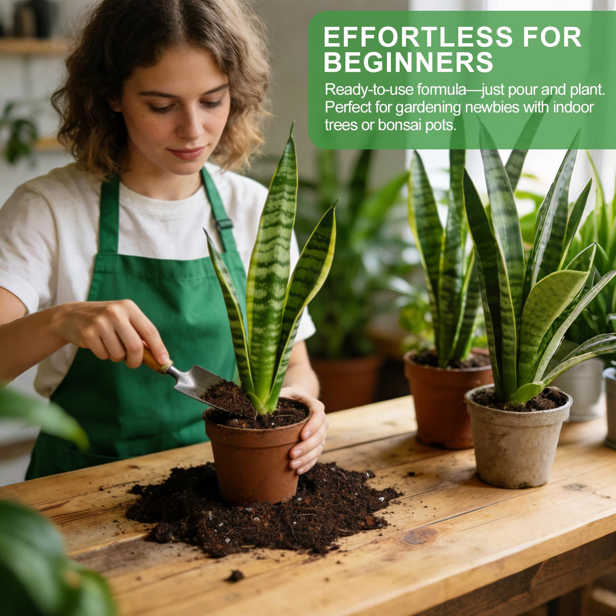 Omitgoter ready-to-use soil saves time during repotting and setup.