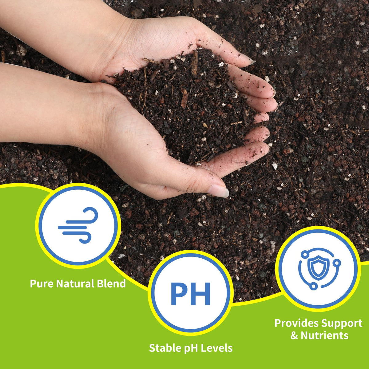 Omitgoter snake plant in pot with breathable mix supports healthy root growth.