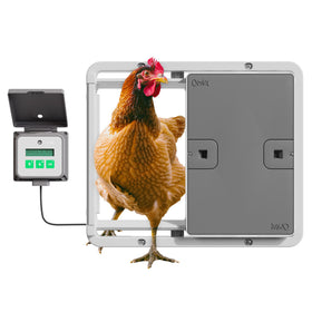 Omlet automatic door front view shows a secure entry for your flock.
